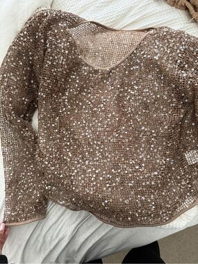 Musera Brown Sequin Mesh Sweater
